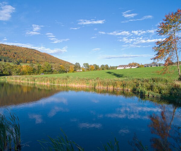 Ein kleiner See umgeben von der grünen Natur und dem Gebirge des Sauerlands nahe des Romantik- und Wellnesshotels Deimann
