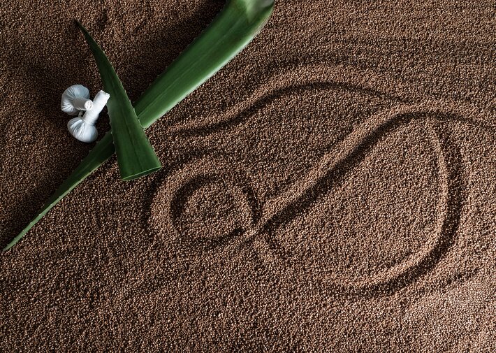 Ein "D" für Deimann im braunen Sand geschrieben