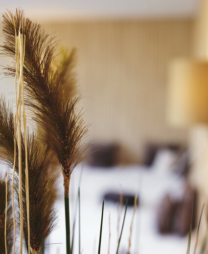 Pampasgras im Hotel Deimann