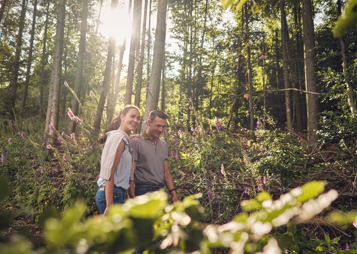 Zwei Personen gehen durch einen sonnendurchfluteten Wald; im Vordergrund violette Wildblumen; Lichtstrahlen fallen durch die Baumkronen.