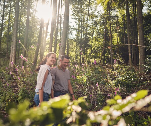 Zwei Personen gehen durch einen sonnendurchfluteten Wald; im Vordergrund violette Wildblumen; Lichtstrahlen fallen durch die Baumkronen.