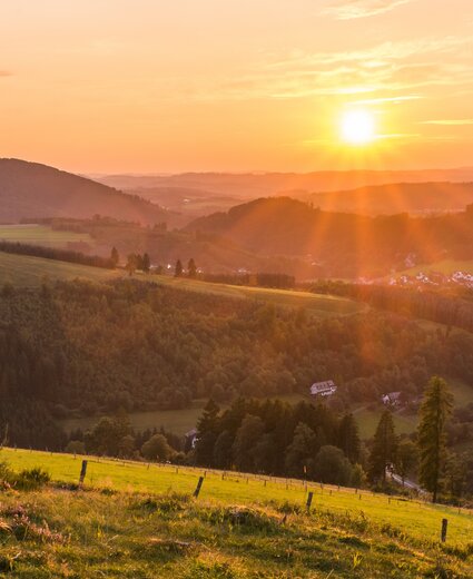 Hügelige Landschaft bei Sonnenuntergang mit Feldern, Wäldern und verstreuten Häusern; Zäune im Vordergrund, warmes goldenes Licht.