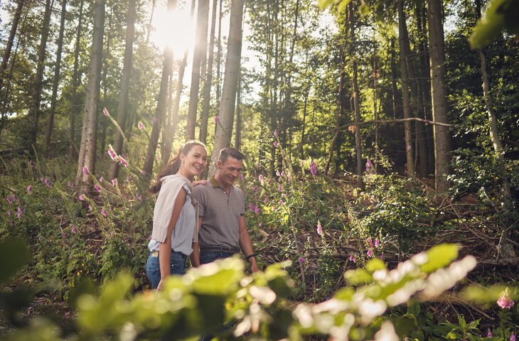Paar im Wald: Eine Frau und ein Mann gehen nebeneinander; Sonnenlicht fällt durch Bäume; violette Blüten am Weg; unscharfer Vordergrund.