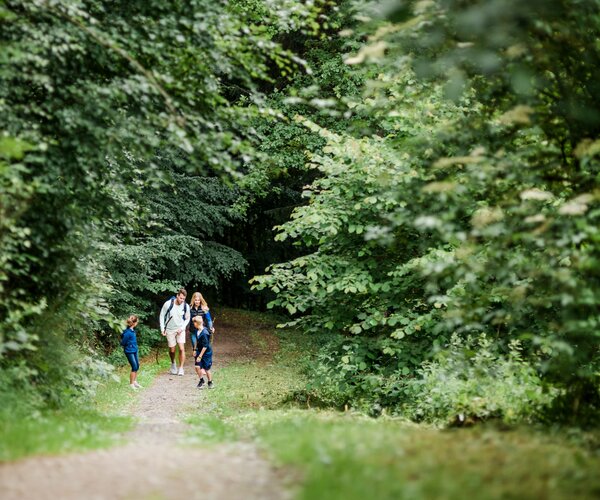 Gruppe von Wanderern geht auf einem schmalen Waldpfad durch dichtes Laubgrün.