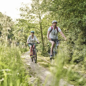 Zwei Mountainbiker auf einem schmalen Waldweg in einer grünen Waldlandschaft bei Sonnenschein.