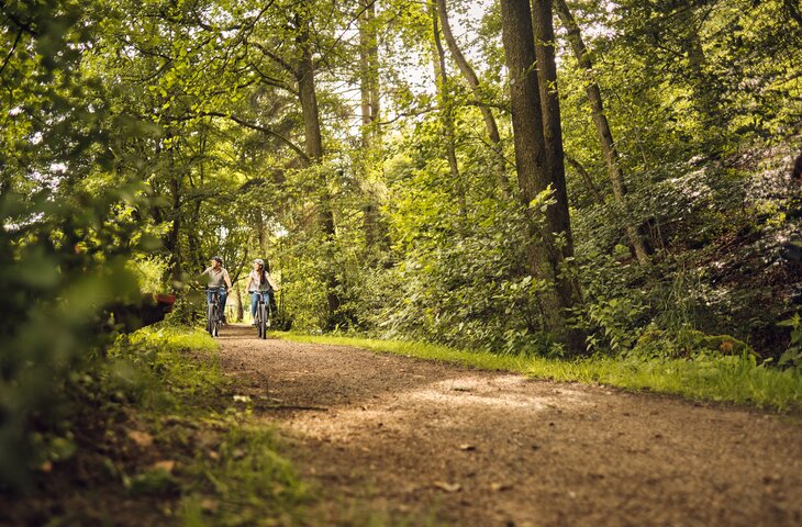 Zwei Radfahrer mit Helmen fahren auf einem unbefestigten Waldweg, umgeben von Bäumen und grünem Unterholz; Sonnenlicht filtert durch das Blätterdach.