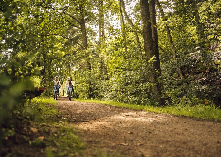 Zwei Radfahrer mit Helmen fahren auf einem unbefestigten Waldweg, umgeben von Bäumen und grünem Unterholz; Sonnenlicht filtert durch das Blätterdach.