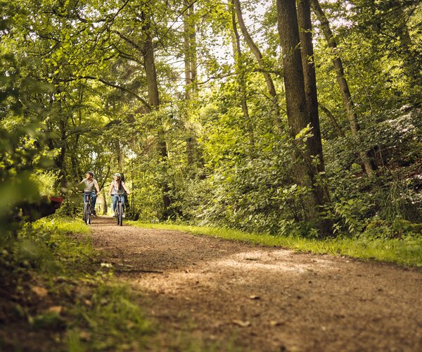 Zwei Radfahrer mit Helmen fahren auf einem unbefestigten Waldweg, umgeben von Bäumen und grünem Unterholz; Sonnenlicht filtert durch das Blätterdach.