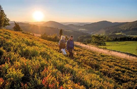 Ein Paar wandert durch die hügelige Landschaft des Sauerlandes im Herbst